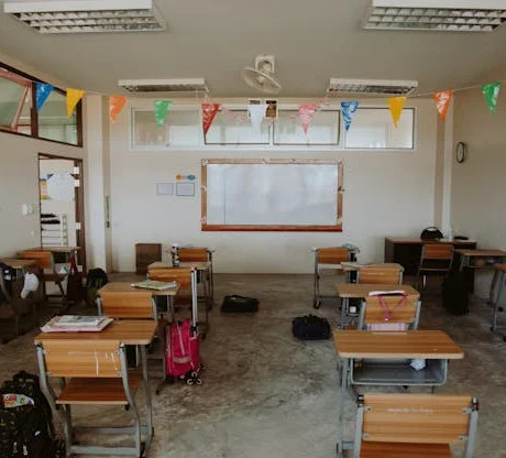 Institutional Projects